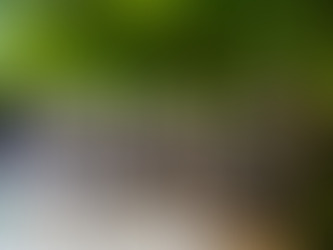 Seasonal Hotel Openings for Spring 2021