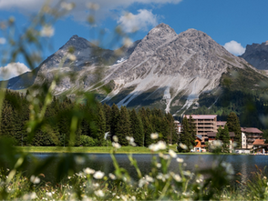 Properties Taking Reduce, Reuse, Recycle to the Next Level