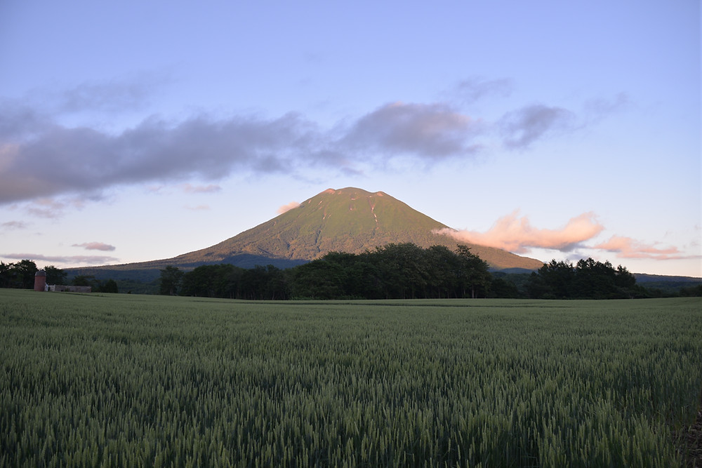 Mount Yotei in Niseko Village, Japa at Higashiyama Niseko Village, a Ritz-Carlton Reserve.
