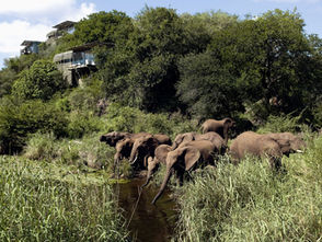 Conservation Conversations from Around the World