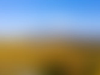 Favorite Fall Foliage Destinations