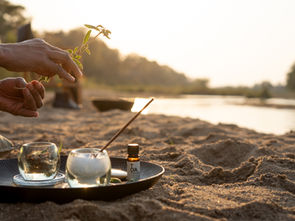 Where to Go for a Trip Rooted in Wine & Wellness