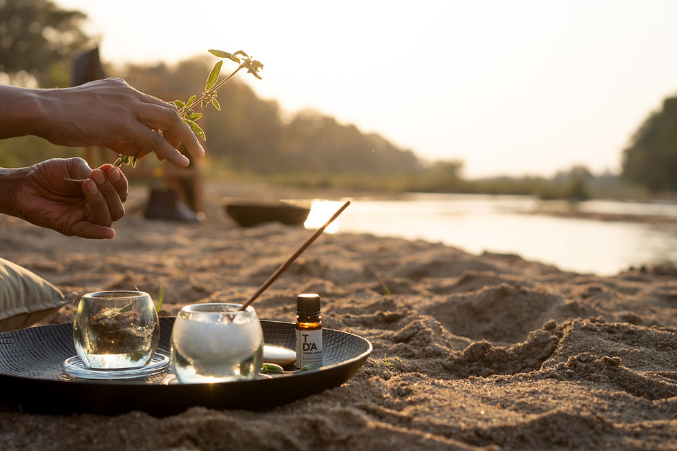 Where to Go for a Trip Rooted in Wine & Wellness