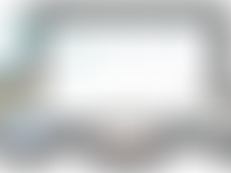 News, Einblicke und Success Stories