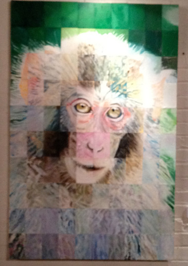 Kojima Monkey #3