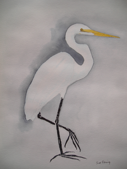 Louisiana Swamp Egret