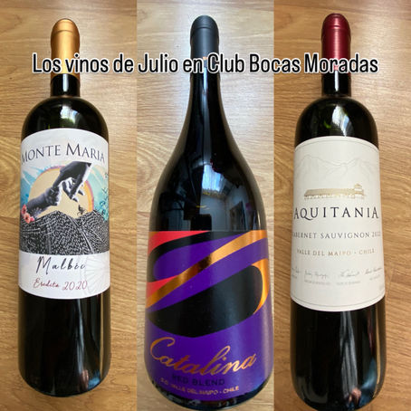 En Julio visitamos el Valle del Maipo