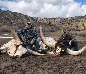 Concho Exotic Outfitters Hunting Ranch Texas