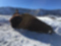 Buffalo Hunting Packages