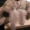 Thumbnail: Morning Dove Feather Earrings