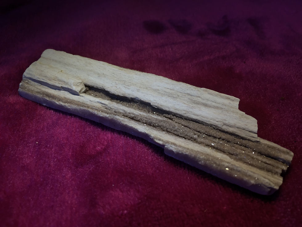 Thumbnail: Petrified Wood Piece 2.5oz 4.5"x1.25"