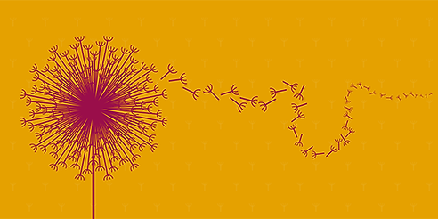 Culture_Seeds_560_280.png