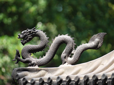 Deep Water Kung Fu dragon form martial arts