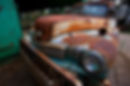 Rusty Mule