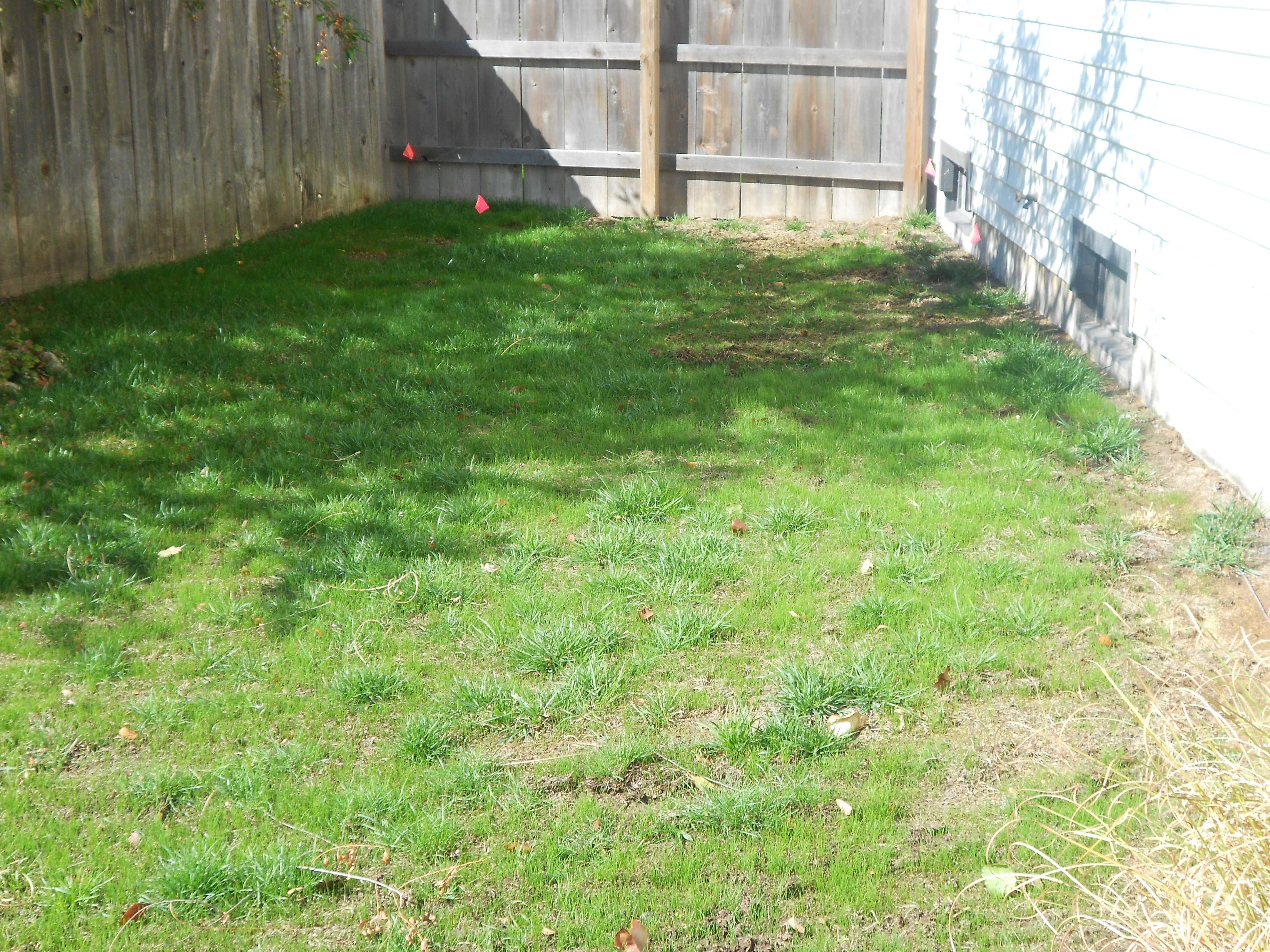 Overseeding