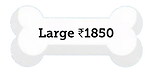 Adobe Express - file.png