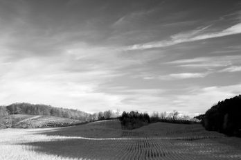 Late October, Gauthier Road