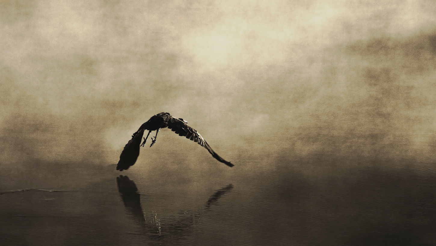 Ascent into Morning
