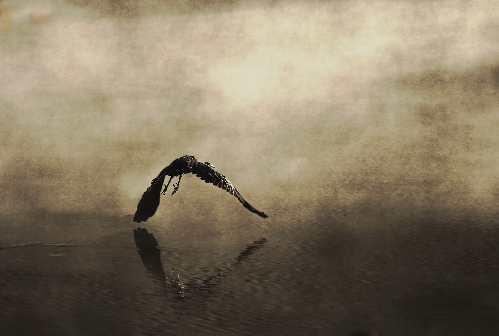 Ascent into Morning