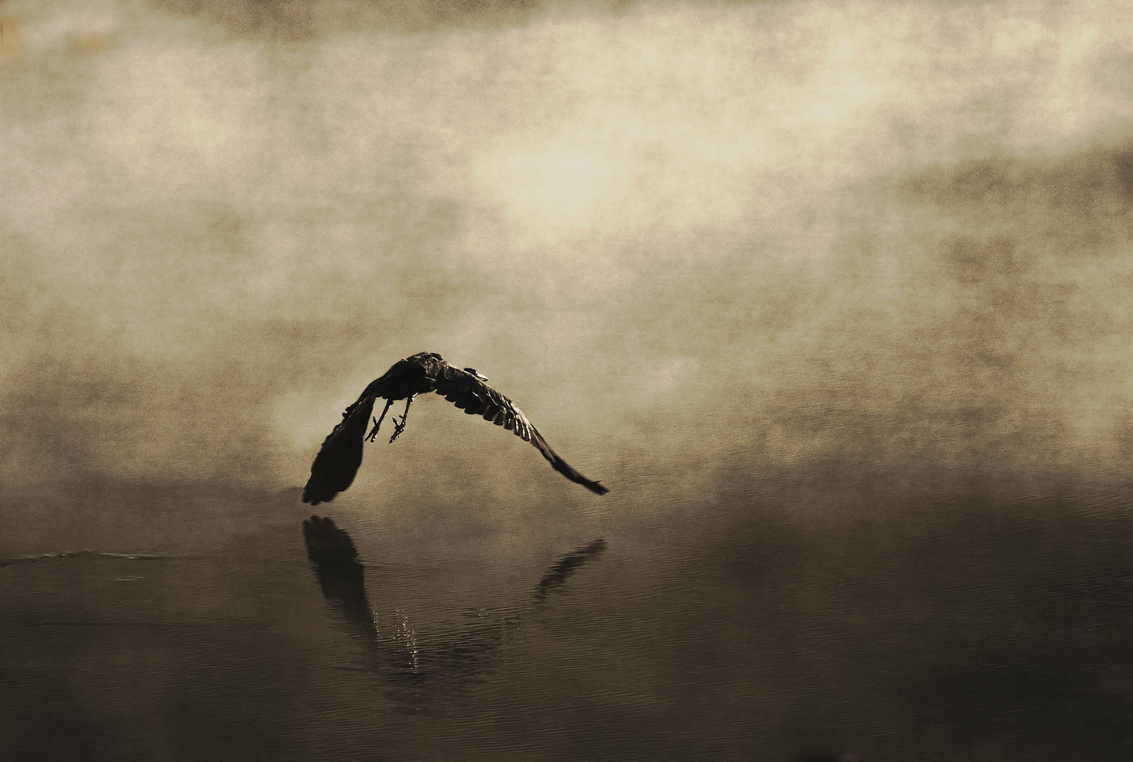 Ascent into Morning