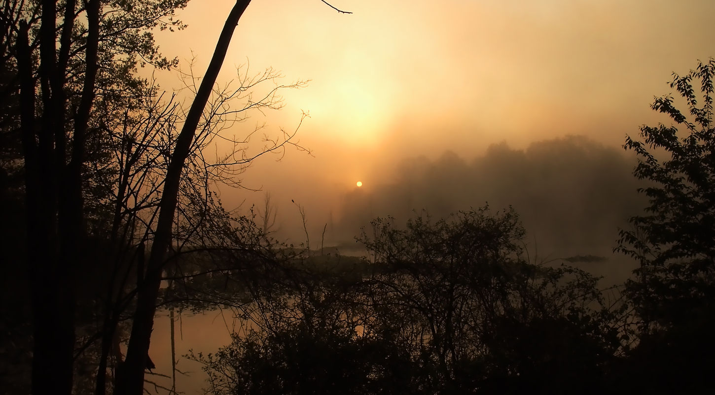 In Praise of a Rising Sun