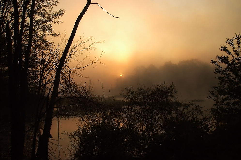 "In Praise of a Rising Sun"