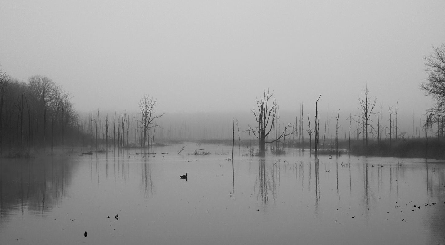 Rapture at Daybreak