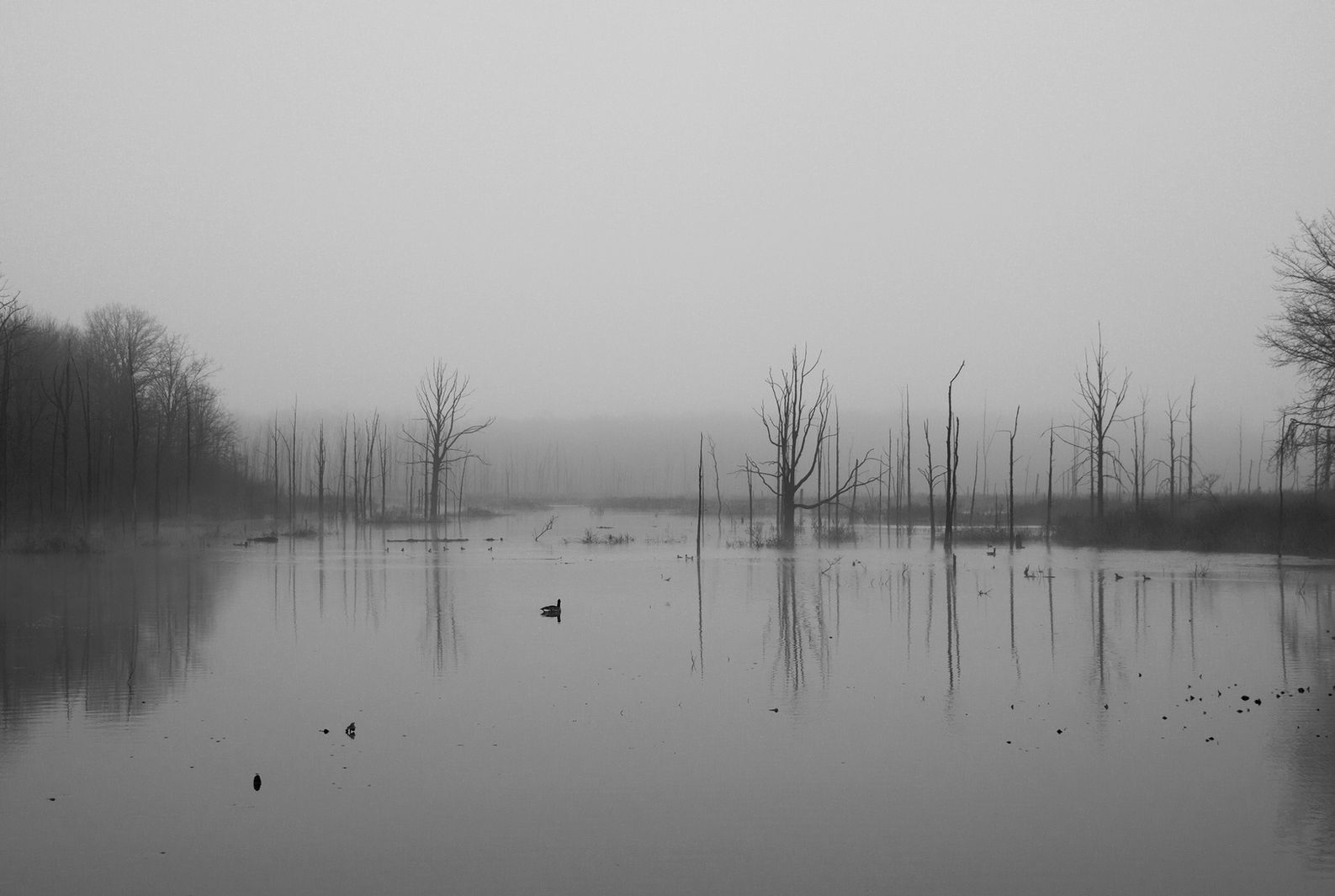 Rapture at Daybreak