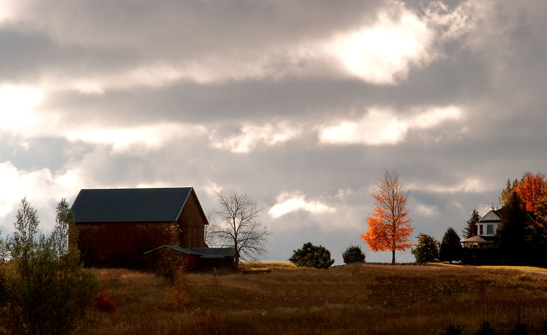 First Light, Suttons Bay