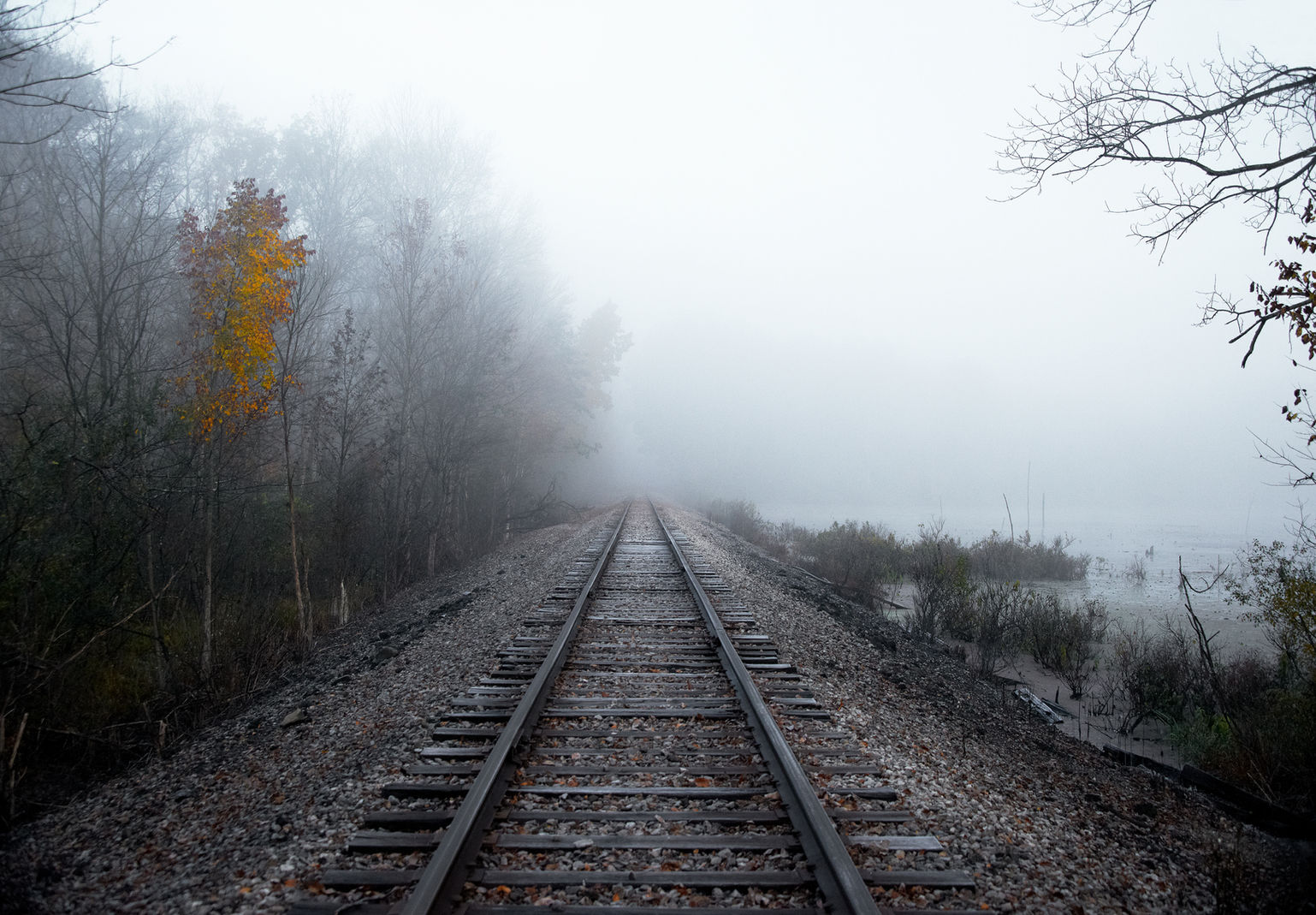 Autumn Rails II