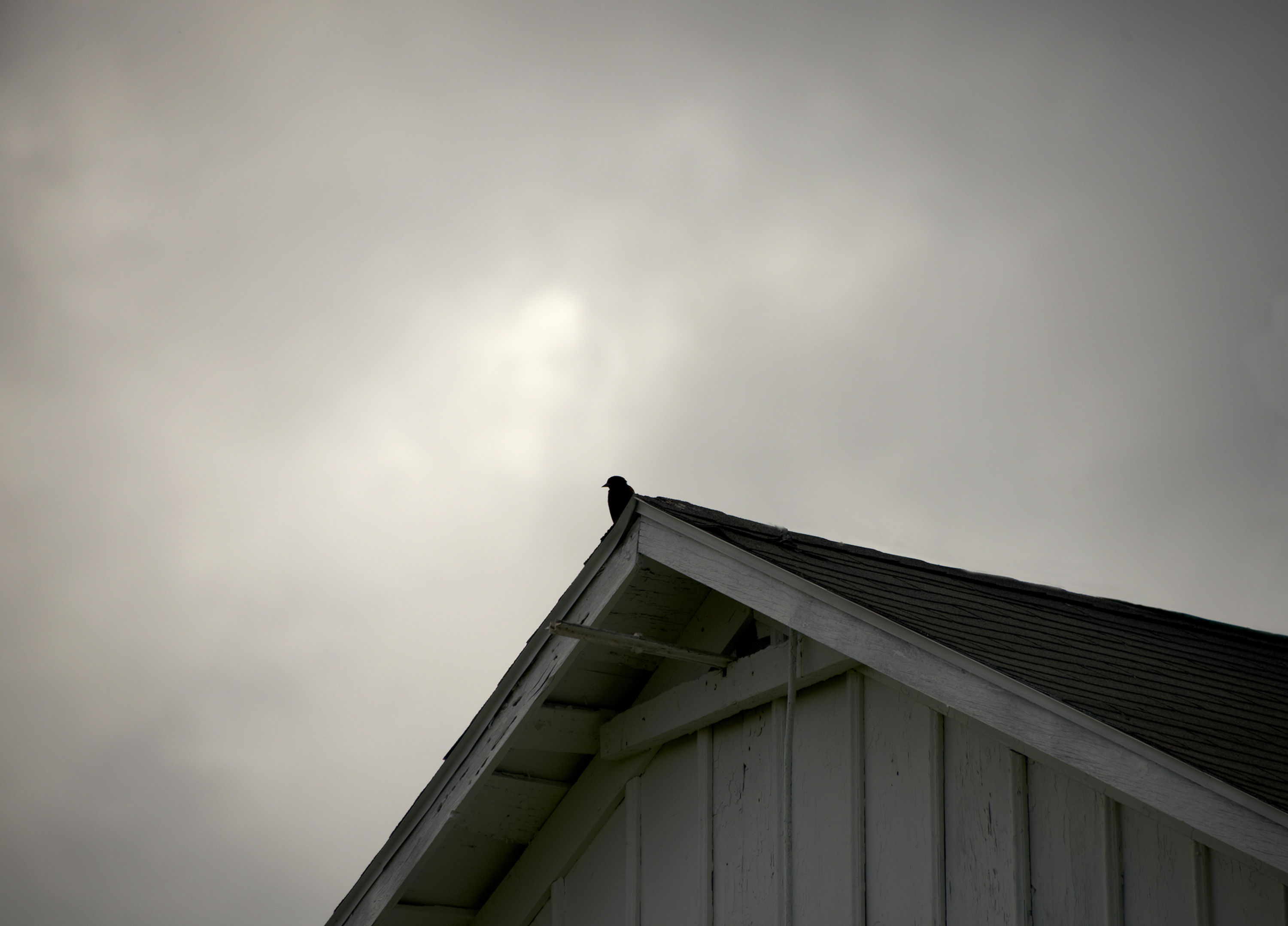 Winter Solstice Redux