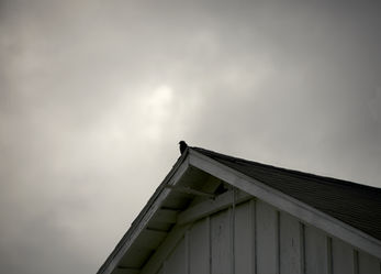 Winter Solstice Redux