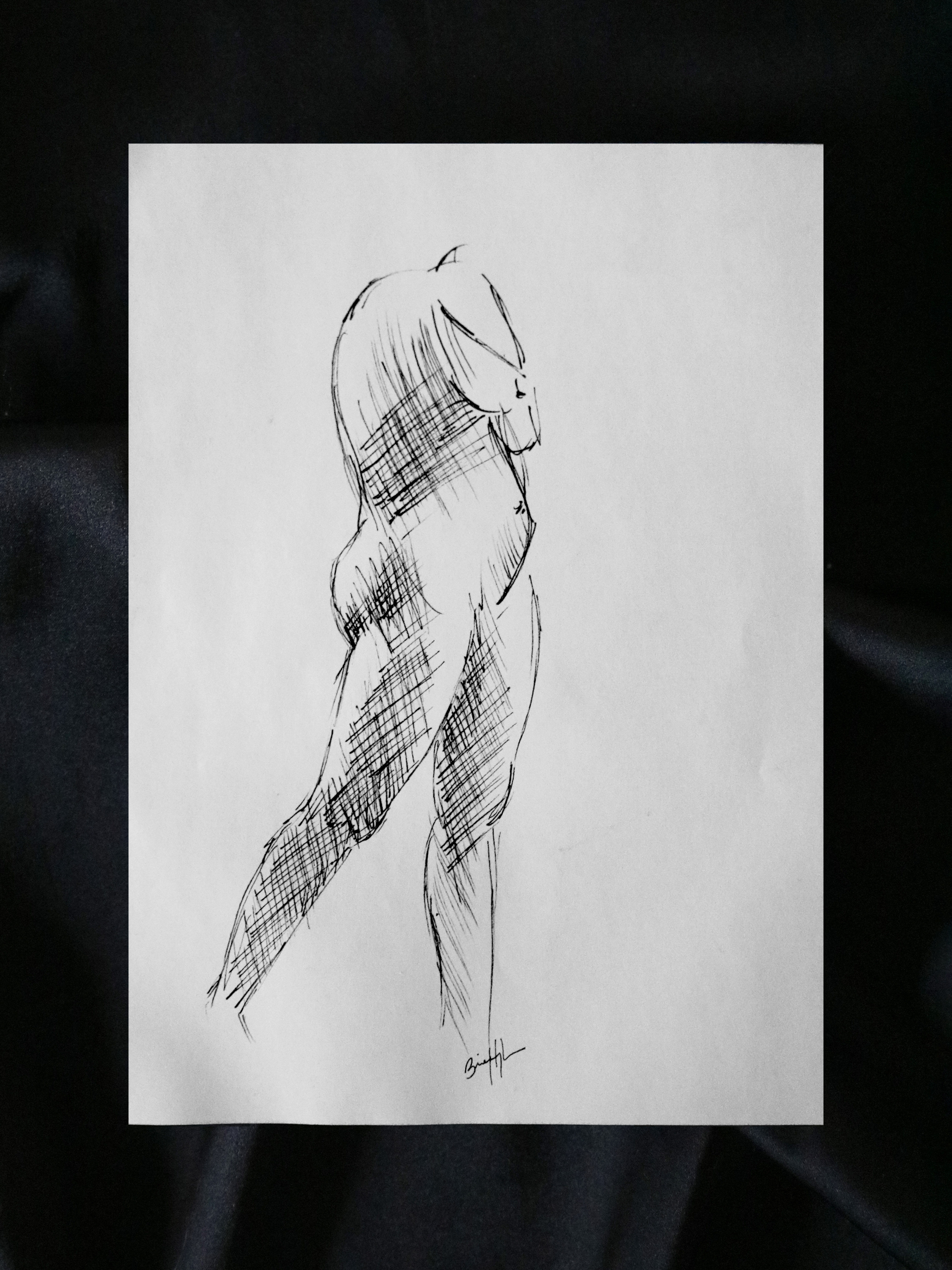 Fig. 10 | 5 x 7 inches