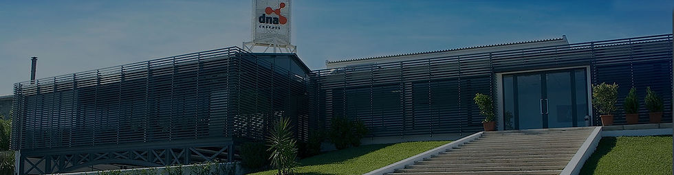 dna-cascais2.jpg