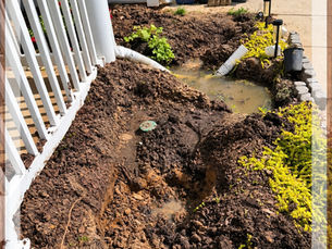 Maybe It’s the Soil