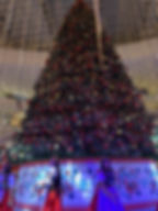 Navidad santafe 2019-9