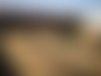 Mulchen en Chop & Drop: onderhoudsarme moestuinprincipes