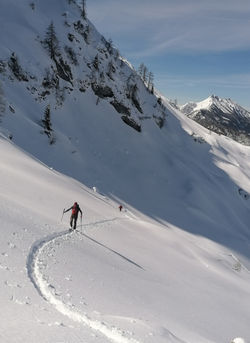 IMG_20210409_104942_edited