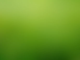 Lawn Seeding in Winnipeg: When to Seed and How to Get a Lush Lawn This Summer