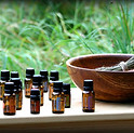 doterra_1.jpg