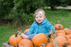 Pumpkin Patch in Grand Rapids, MI