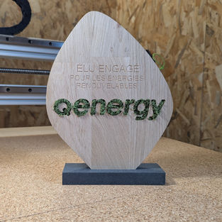 trophées salon et exposition. trophées bois. trophées végétale