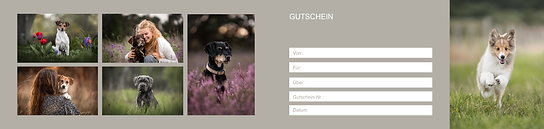 Gutschein-Hund-Innen.png