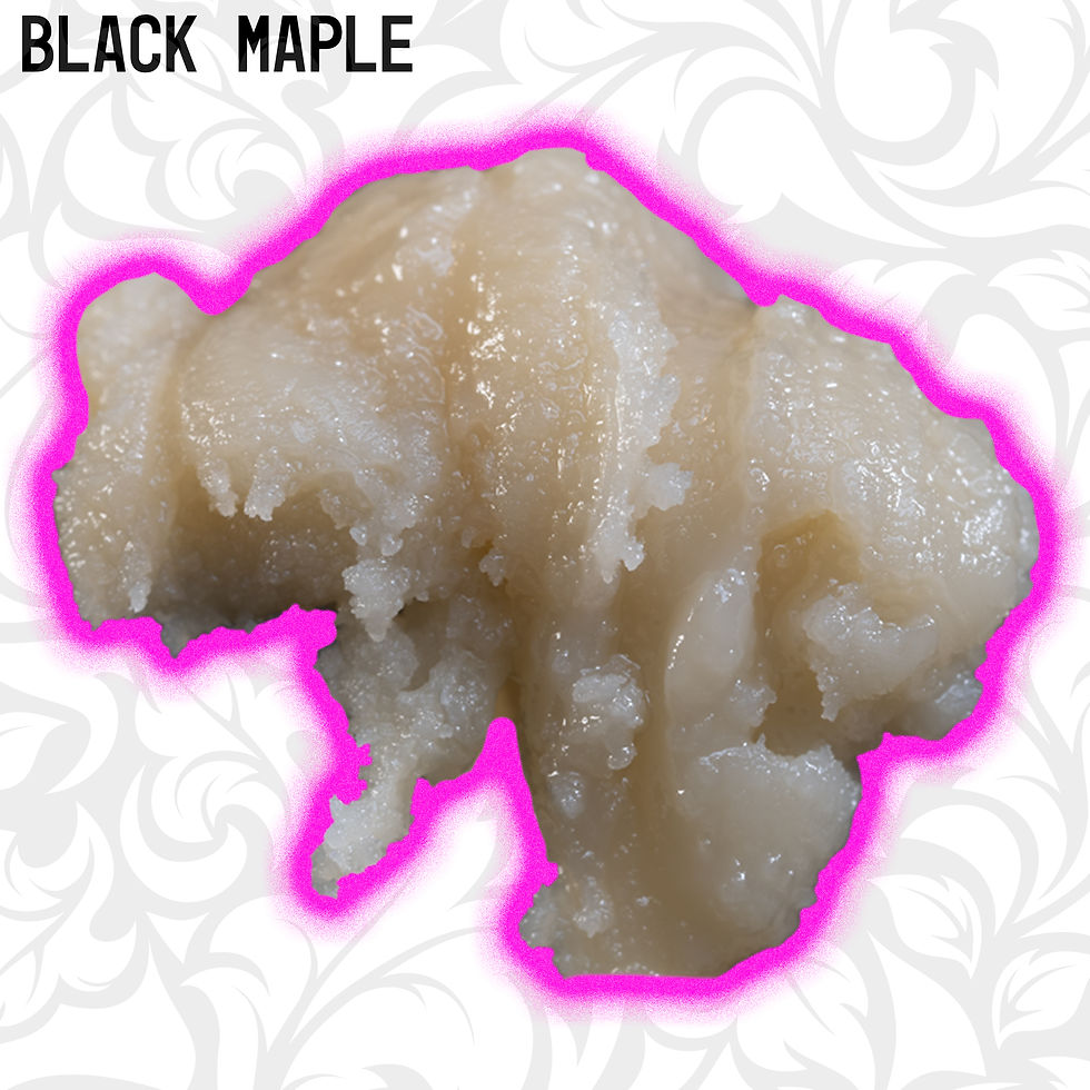 BLACK MAPLE LIVE ROSIN THCA HEMP