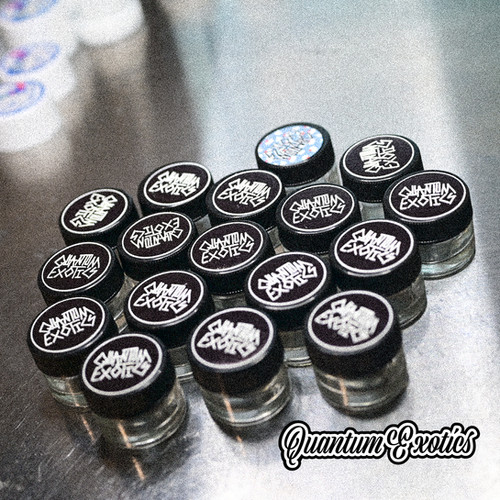 8 Flavor Sampler (0.5 Grams ea./4 Grams Total)