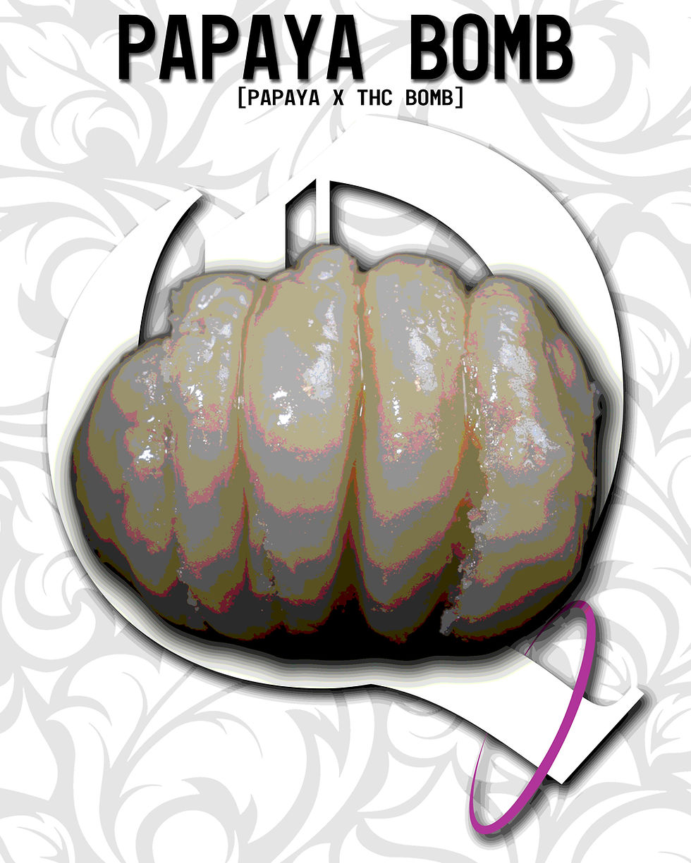 Thumbnail: papaya bomb thca live rosin