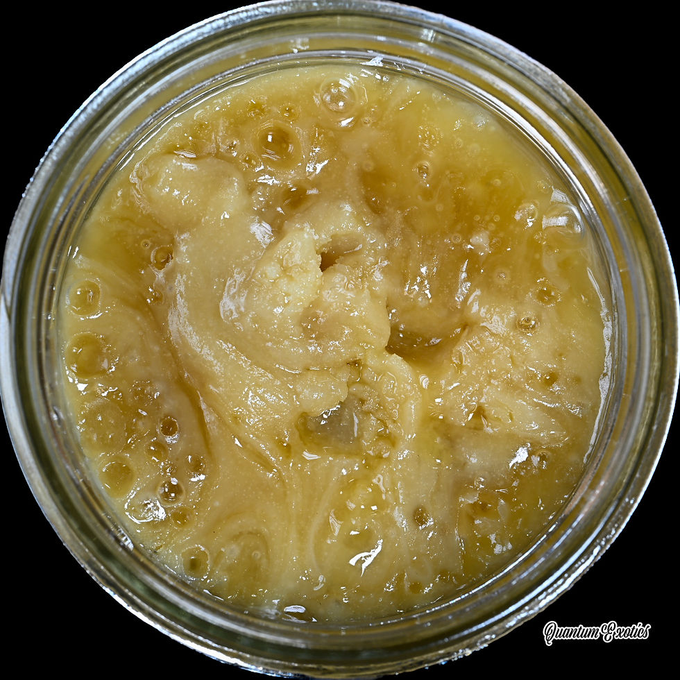 Thumbnail: Z Berries Fresh Press Live Rosin THCa in a jar