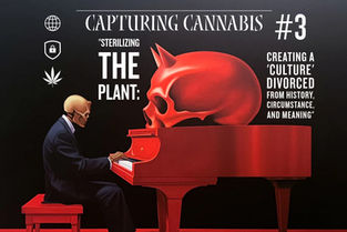 Sterilizing The Plant: Creating A "Culture" Divorced From History, Meaning, and Circumstance