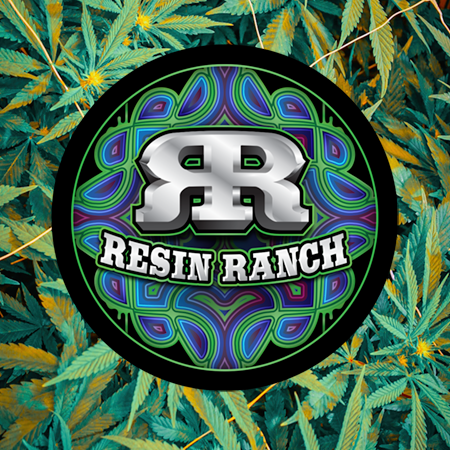 Hashwriter Presents: @Resin_Ranch_Extracts In The house: Opioids/recovery/hashish & rosin Reviewed
