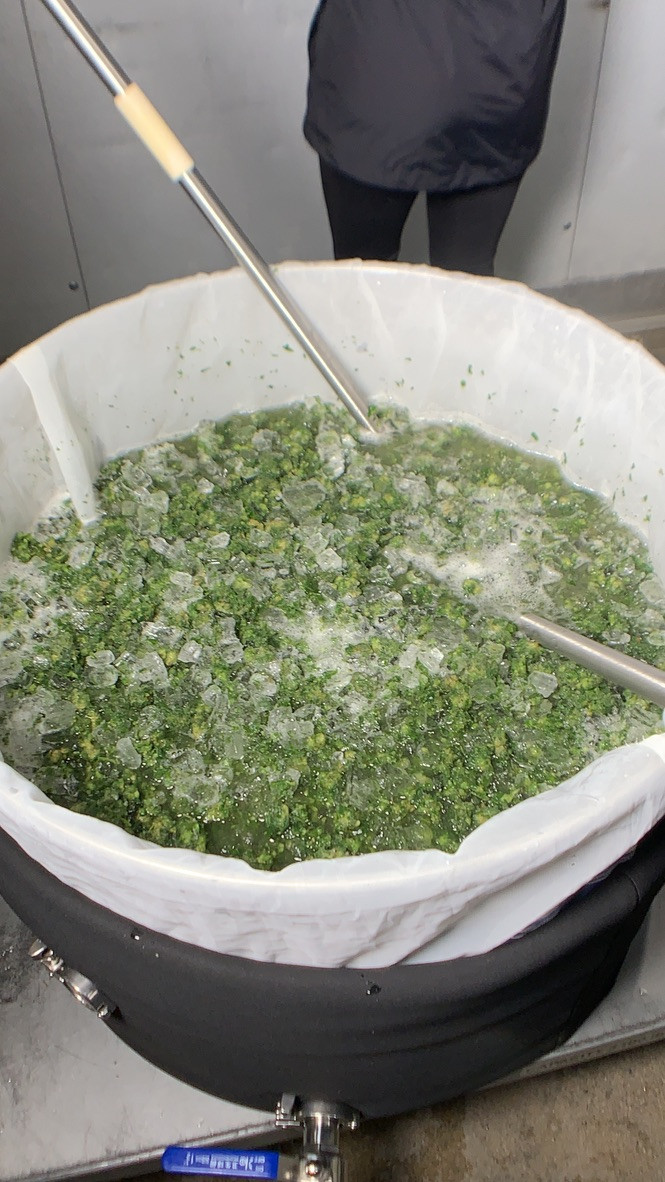 fresh frozen cannabis